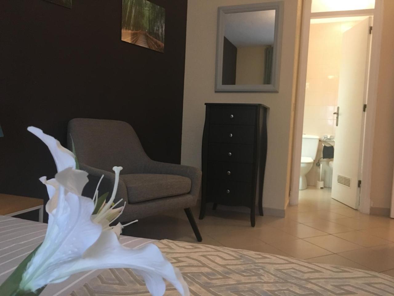 Dream Comfy Διαμέρισμα Σαν Κριστόμπαλ ντε Λα Λαγούνα Εξωτερικό φωτογραφία